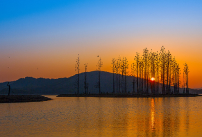 ​兔年吉祥四字祝福语