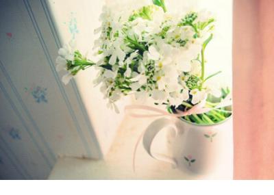 ​同学结婚祝福语8个字 给同学新婚快乐祝福语