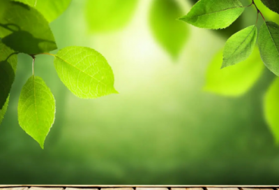 ​正月十六祝福语精选【43句】