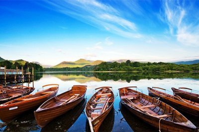 ​关于高粱的比喻句13句