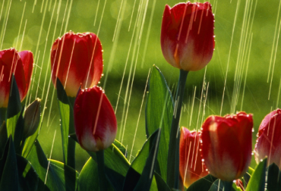 ​给长辈拜年祝福语短句子