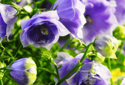 ​杨姓男宝宝名字大全366个