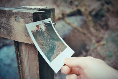 ​大自然的的谚语有哪些55句