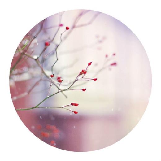 ​春节祝福老师的话简短