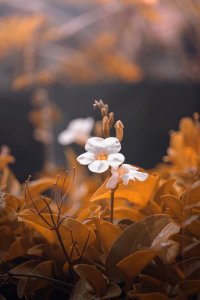 ​高考励志句子简短霸气 期末考试励志的长句子