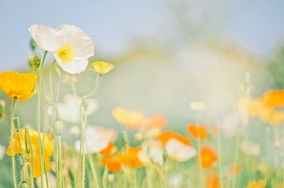 ​陆游爱国情怀的诗句49句