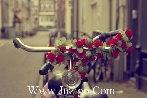 ​古名言警句摘抄大全126句
