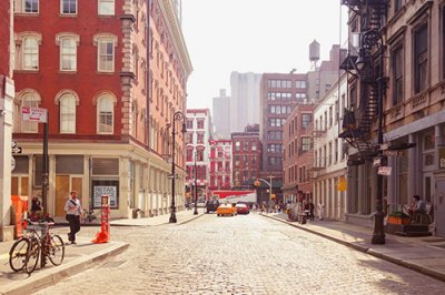 ​陆游赞美梅花的诗句15句