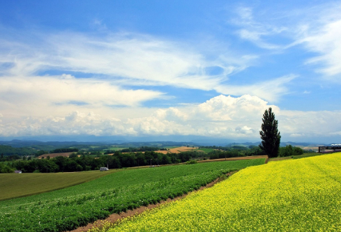 1687281336230564.png image.png