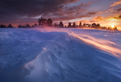 ​借景抒情诗有哪些（借景抒情的经典诗句）