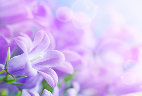 1689433228503213.png image.png