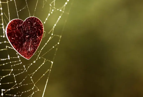 1689463063116706.png image.png