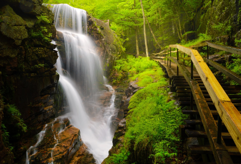 1689461738398861.png image.png