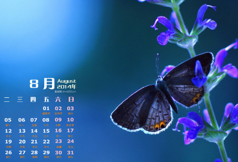 1689462566122657.png image.png