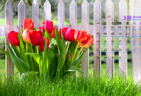 1689473999742083.png image.png