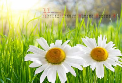 ​春节新年经典的对联大全85副