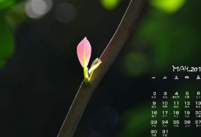 ​开工的祝福语【共43句】