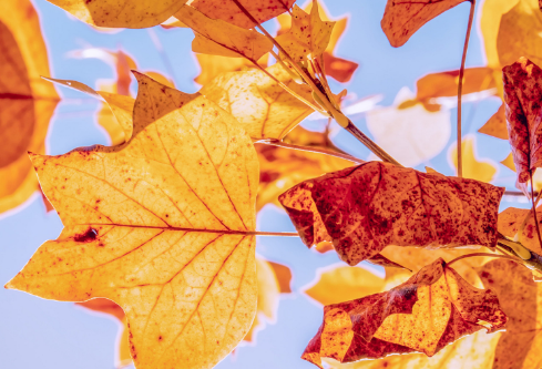 1689518222497361.png image.png