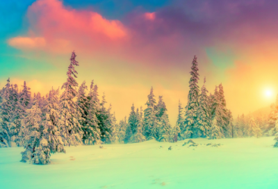 ​描写鸟的诗句