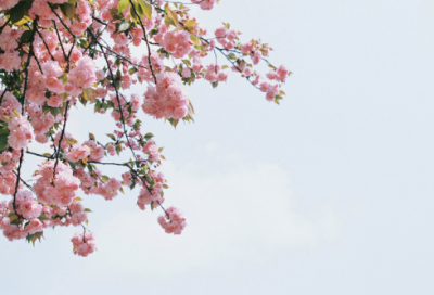 ​形容女子美好的诗句（意境美到极致的古诗词）