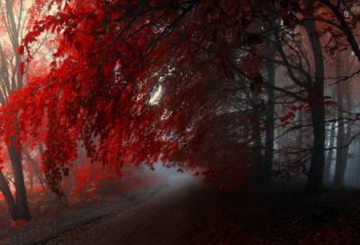 ​诗经中最唯美的名篇（诗经最意境的诗句）