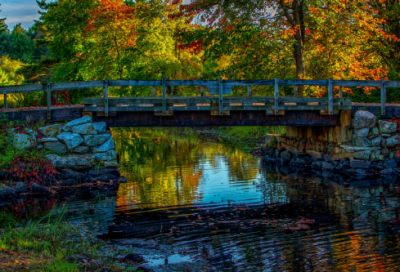 ​描写春雨的诗句