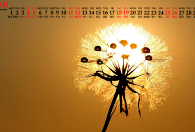 ​中秋节的诗句，关于中秋节的古诗16首！