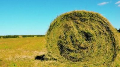 ​38妇女节短信祝福 三八妇女节精彩短信