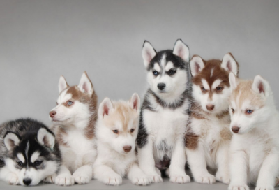 ​名人的勤奋名言警句