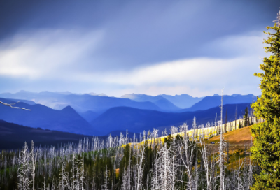 ​虎年祝福语大全简短字【经典74句】