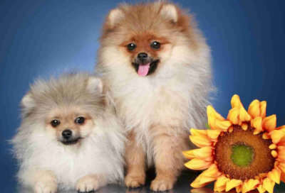 ​关于古语的名人名言大全