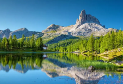 ​赞美酒的诗句经典语录（形容酒十里飘香的诗句）