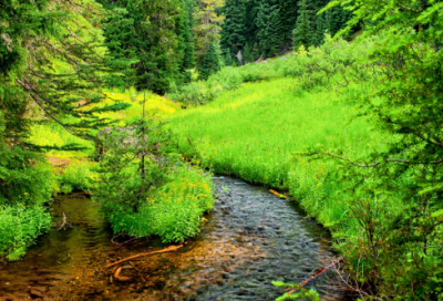 ​酒桌上的祝福语,好朋友酒桌上的祝福语(优秀52句)