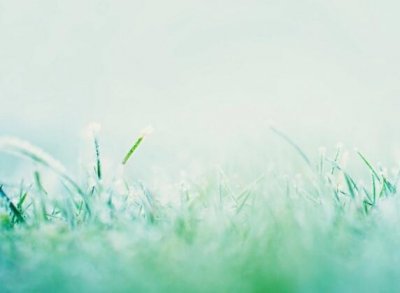 ​闭门思过的经典句子