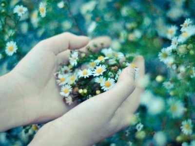 ​关于抓住机会的名言（有关于机会的句子）