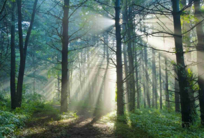 ​重阳贺卡祝福语集合