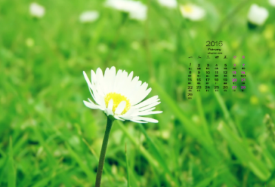 ​新春祝福语四字(总共70句)