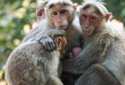 ​关于2023教师节的名人名言