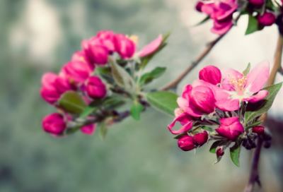 ​李商隐诗词最佳十首（李商隐最有名的十首诗）