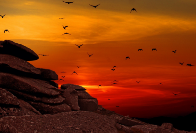 ​关于春风的诗句