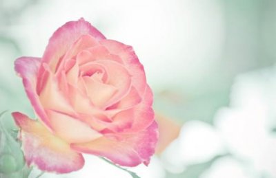 ​网络用语对话段子 最流行的网络语言