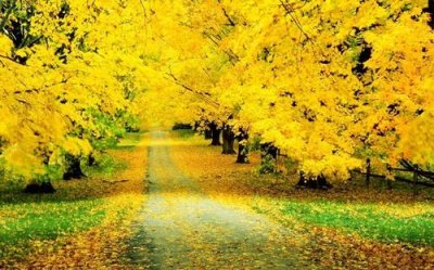 ​鼓励亲子阅读的名言