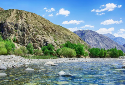​粽子节祝福语