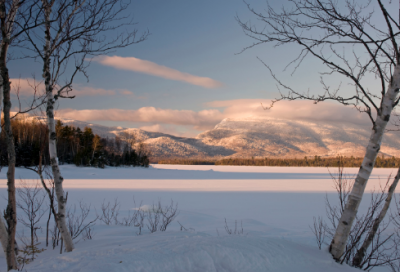 ​春节祝福语短句