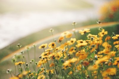 ​一家人聚餐温馨的句子简短 大家庭团聚温馨的句子