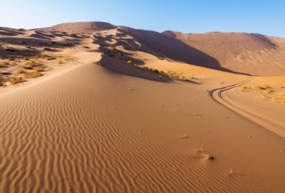 ​母校回忆精美句子简短（表达感恩母校的古诗词)