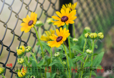 ​表达忧国忧民的诗句大全