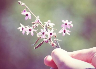 ​有关珍惜时间的名言