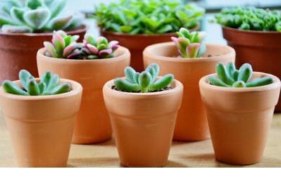 辩论赛噎住对方的语句