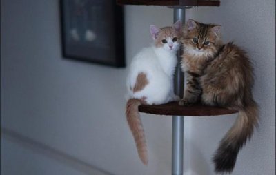 ​关于坚定目标的名人名言